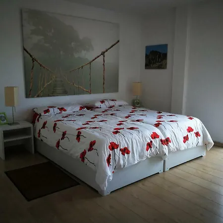 Casa La Mimosa * ラス・ネグラス